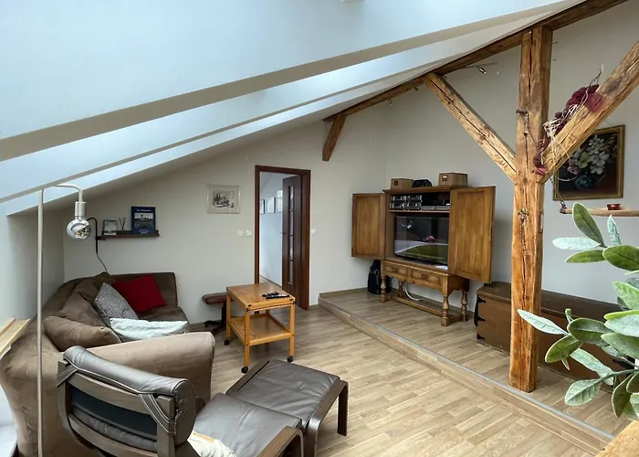 公寓 Home3city Sloneczne Poddasze 索波特